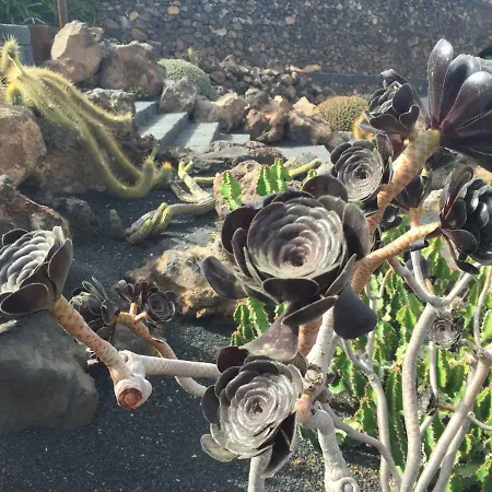 Villa Buganvilla 19 Forever Playa Blanca (Lanzarote)